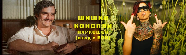 трава Алзамай