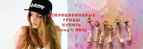 не бодяженный Саяногорск