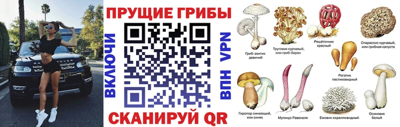 Псилоцибиновые грибы прущие грибы  Балабаново 